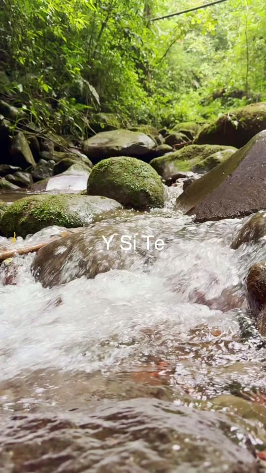 Post 6 by Magic Villages Costa Rica on TikTok (video)