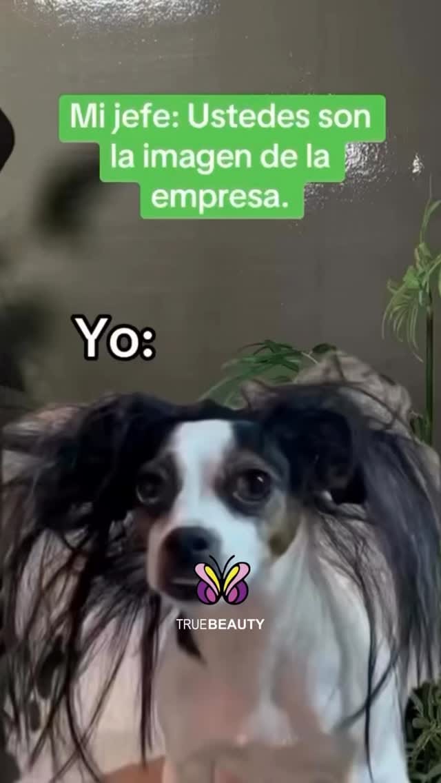 Post 7 by Proveedora de  productos y herramientas para uñas on Instagram (video)