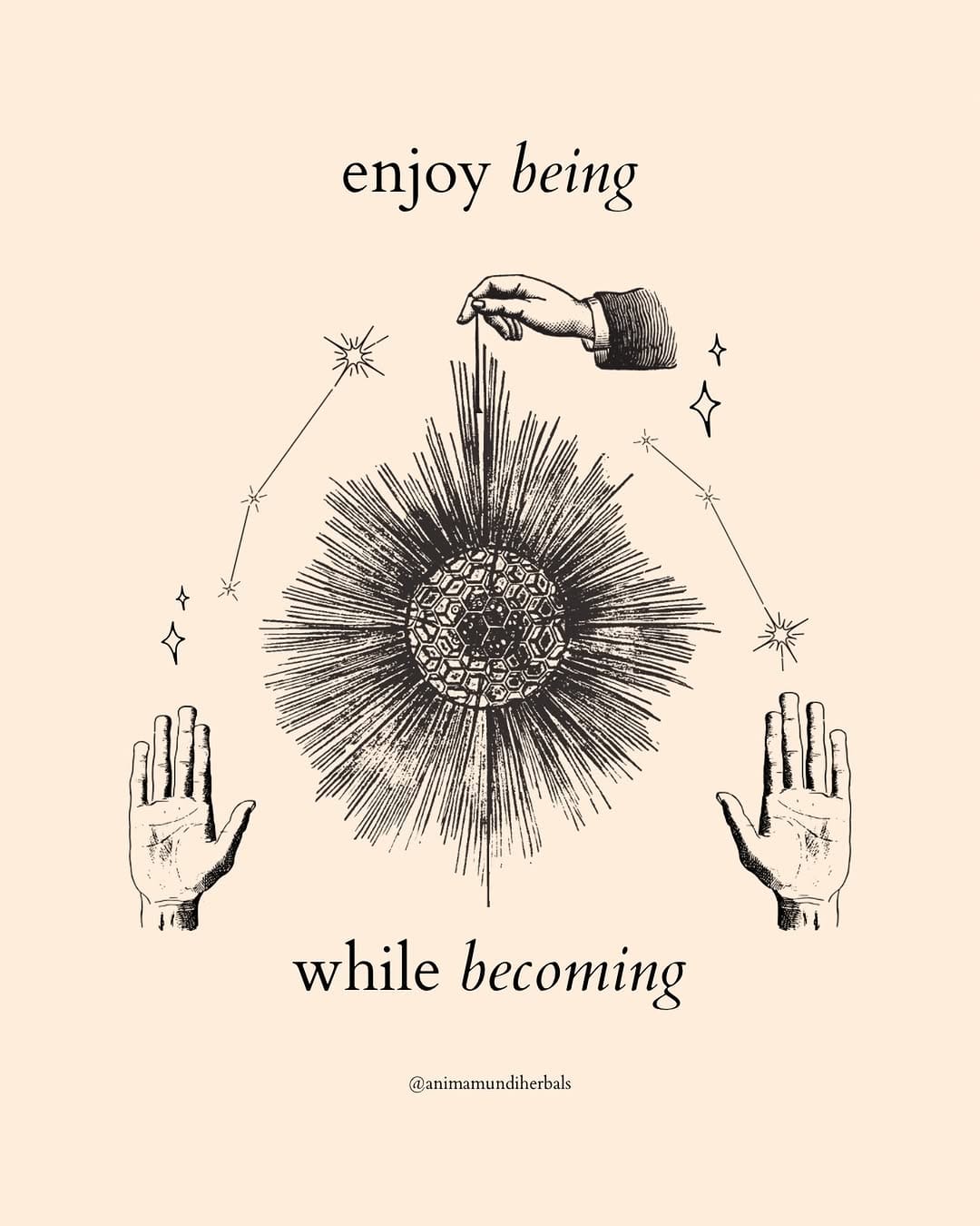 Post 10 by ANIMA MUNDI HERBALS on Instagram (image)