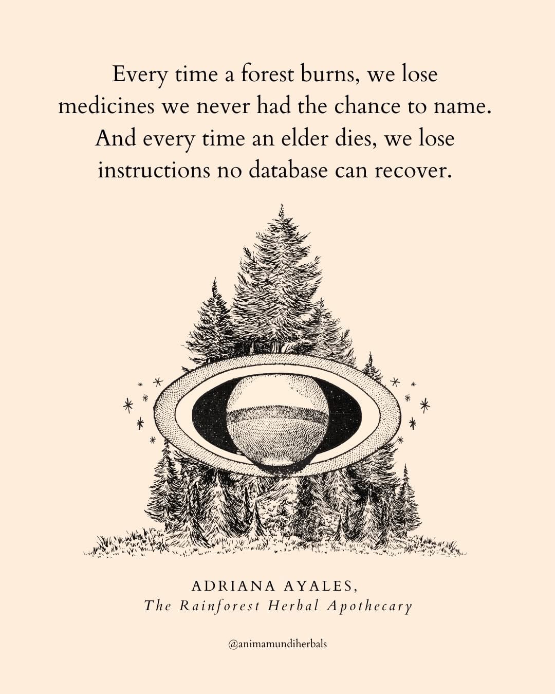 Post 2 by ANIMA MUNDI HERBALS on Instagram (image)