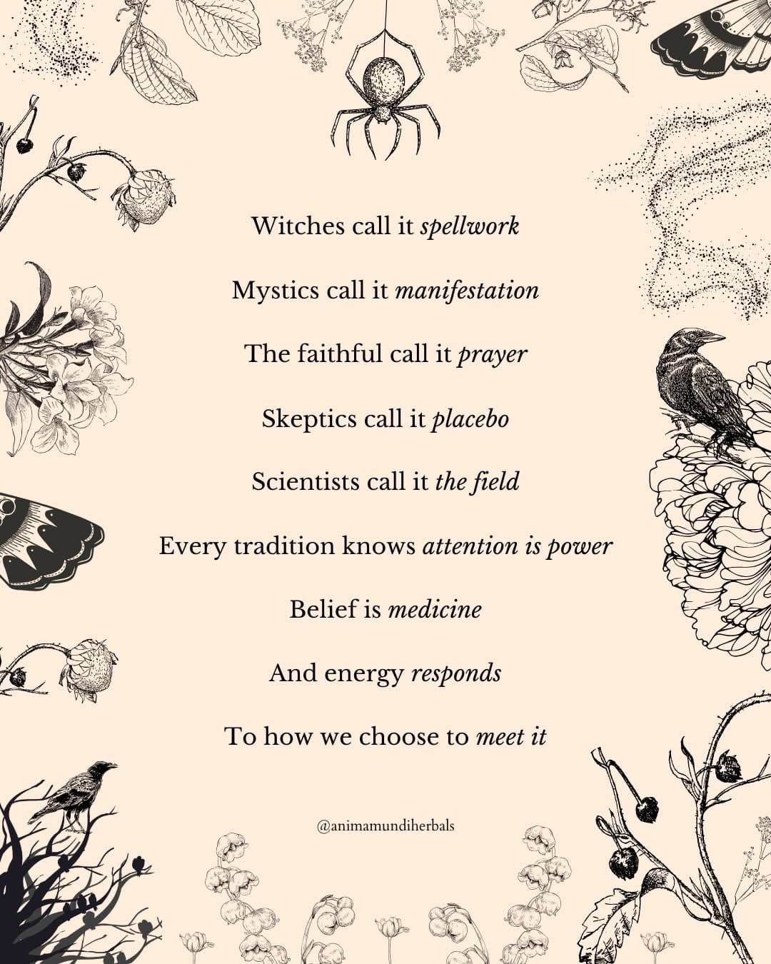 Post 8 by ANIMA MUNDI HERBALS on Instagram (carousel)