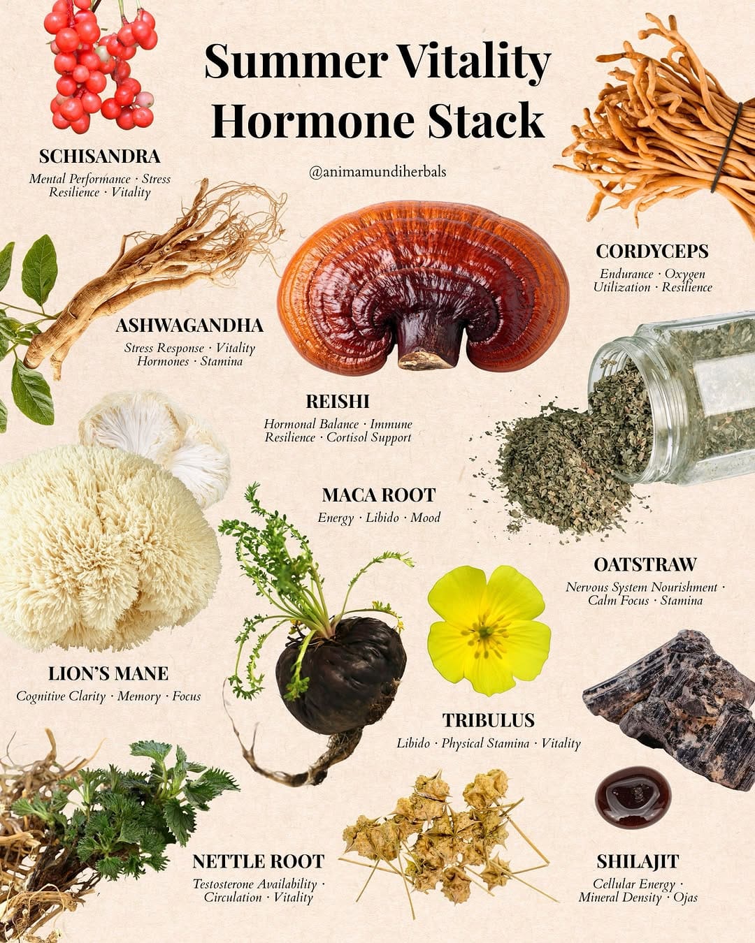 Post 6 by ANIMA MUNDI HERBALS on Instagram (carousel)
