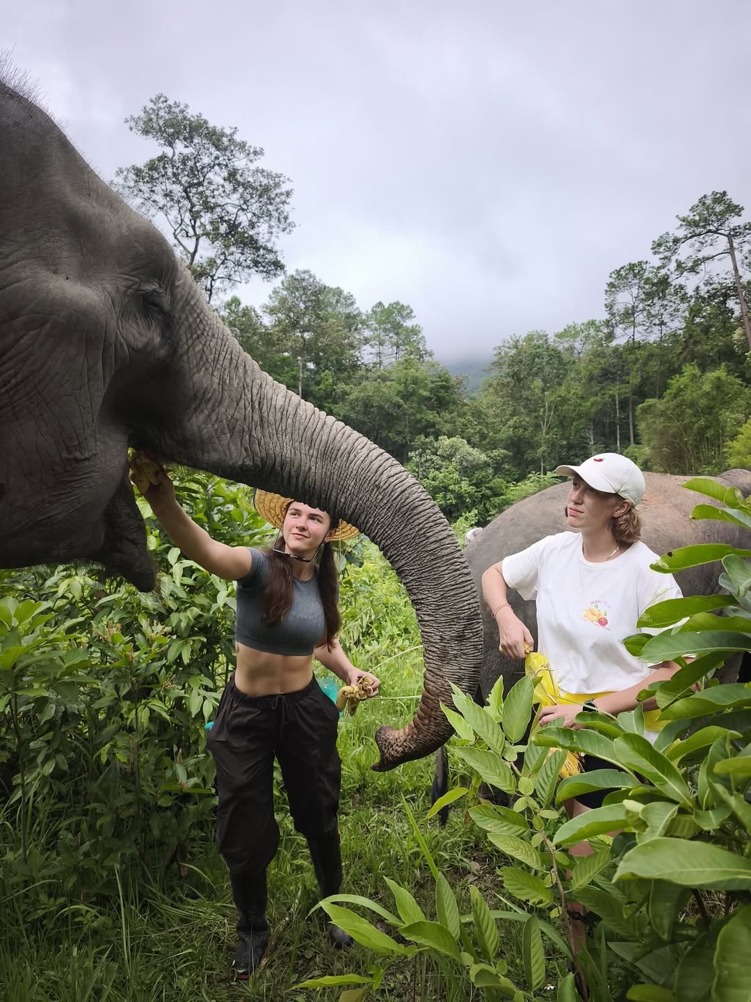 Post 2 by Alyssa Nicole - lifestyle | wellness | travel on Instagram (carousel)