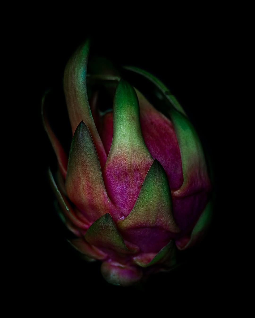 Post 8 by Jimena Naranjo | Fotógrafa on Instagram (carousel)