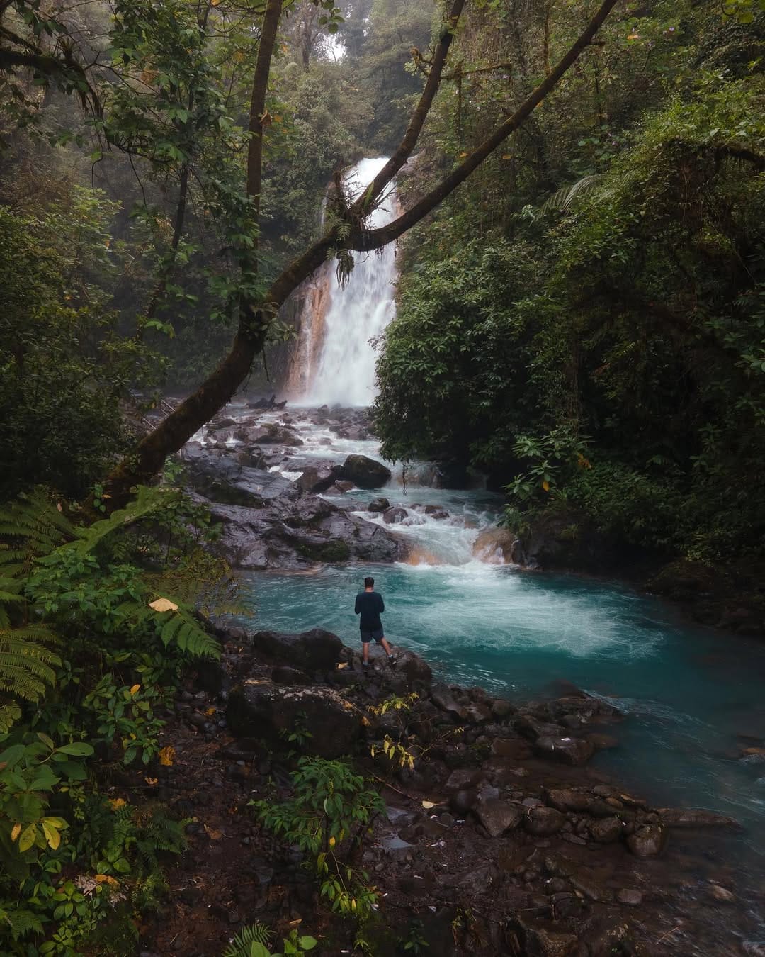 Post 10 by Gustavo Quesada on Instagram (image)