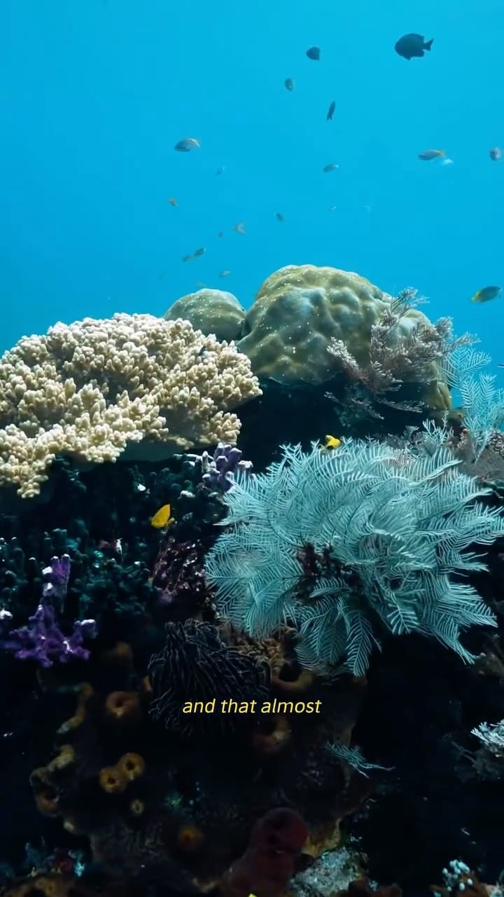 Post 3 by Grecia 🌊🪬🎶 on Instagram (video)