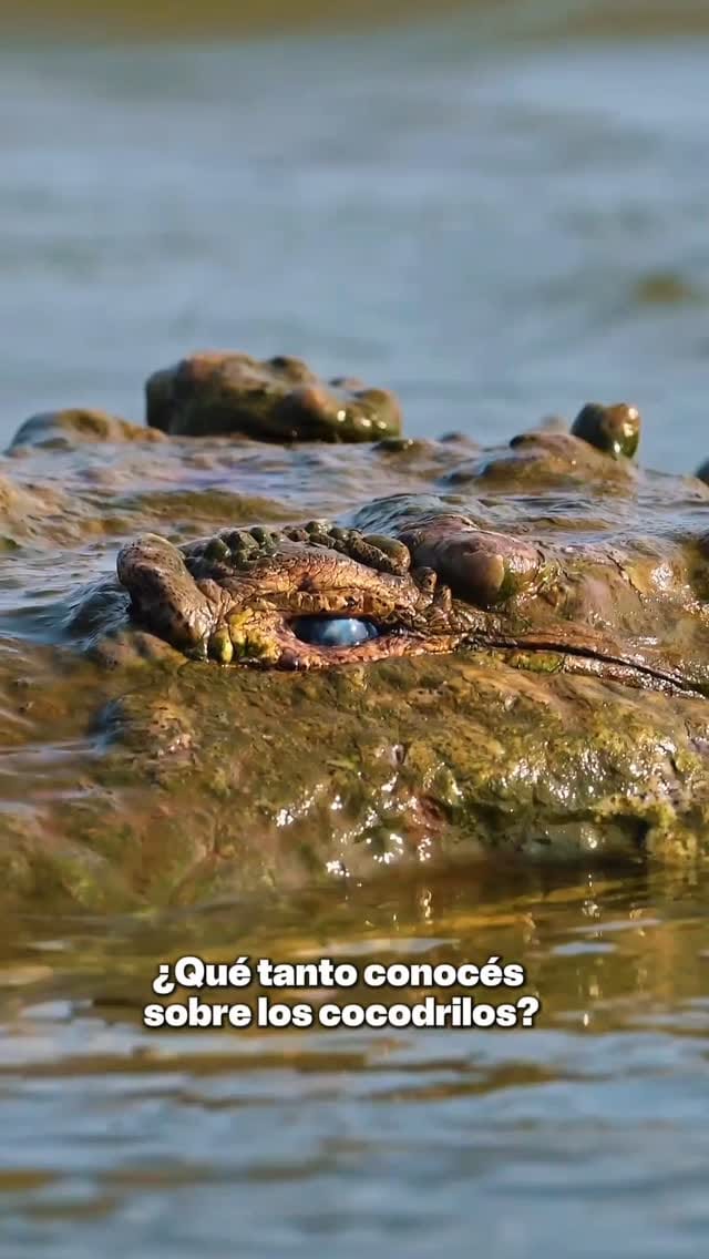 Post 6 by Adobe Rent a Car on Instagram (video)
