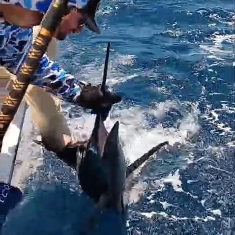 Post 1 by Landon Dooley on Instagram (video)