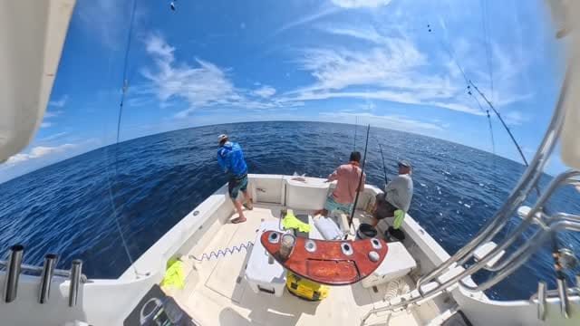Post 6 by Landon Dooley on Instagram (video)