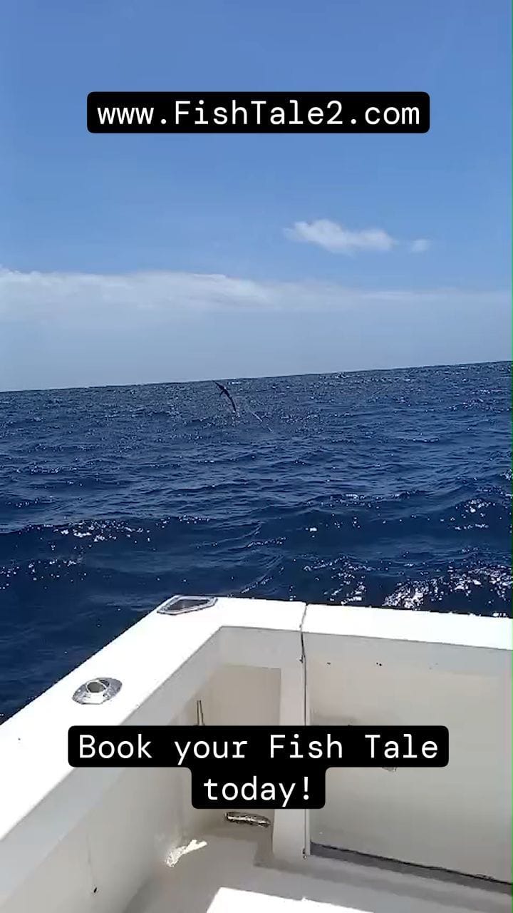 Post 9 by Landon Dooley on Instagram (video)