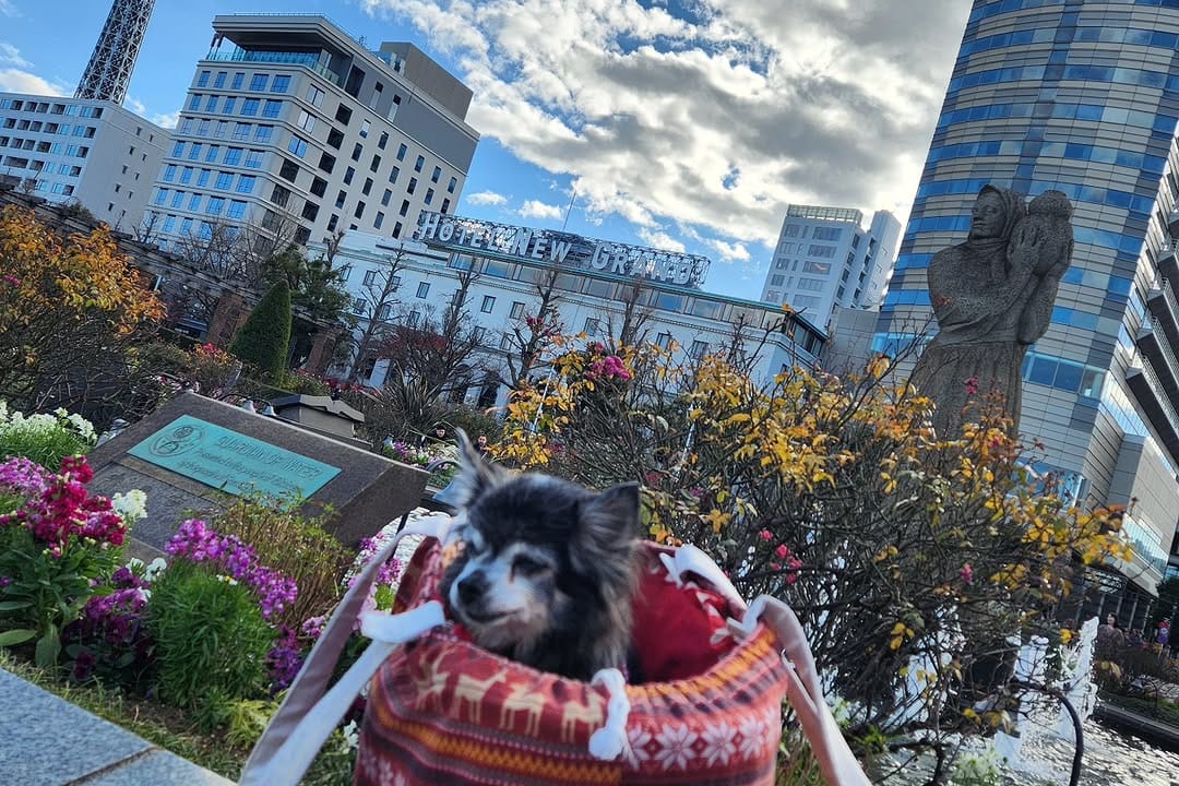 Post 5 by ｼﾞｭﾘ♀️🇯🇵Japan on Instagram (carousel)