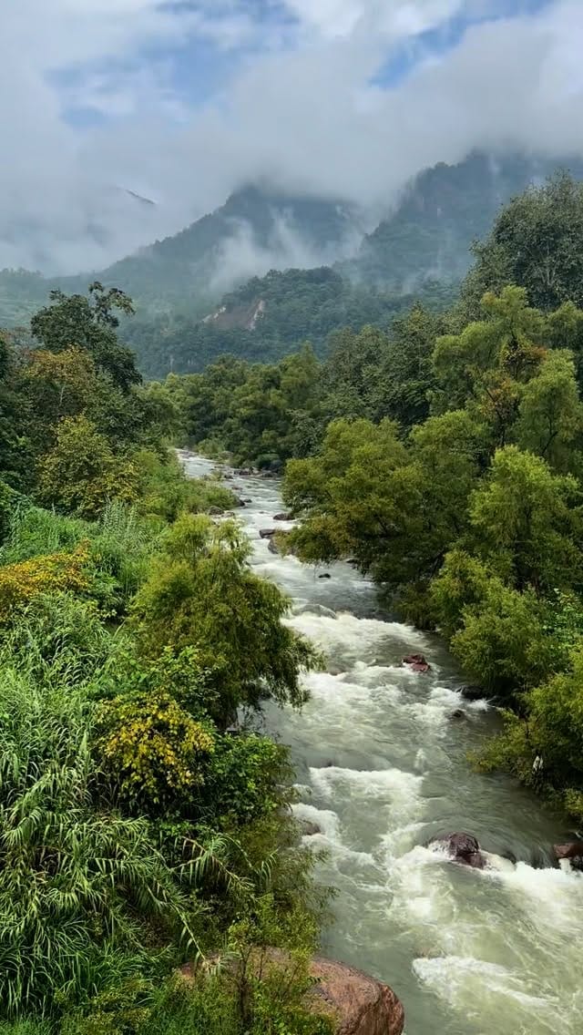 Post 4 by Bryan on Instagram (video)