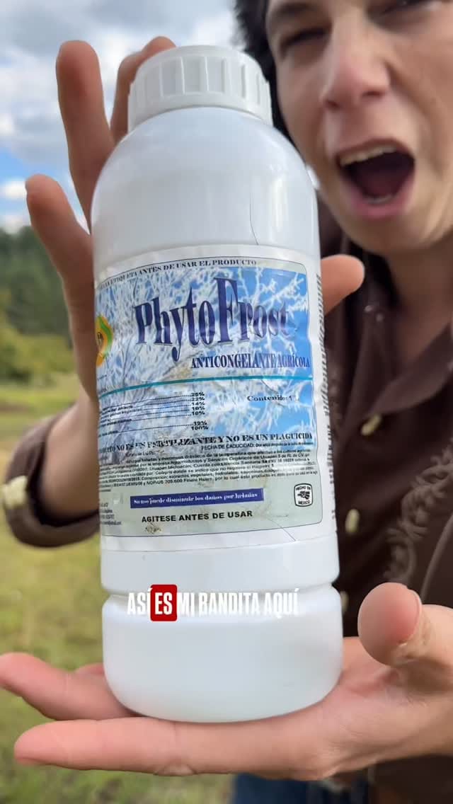 Post 1 by Mike el Patrón 🥑🫐 on Instagram (video)