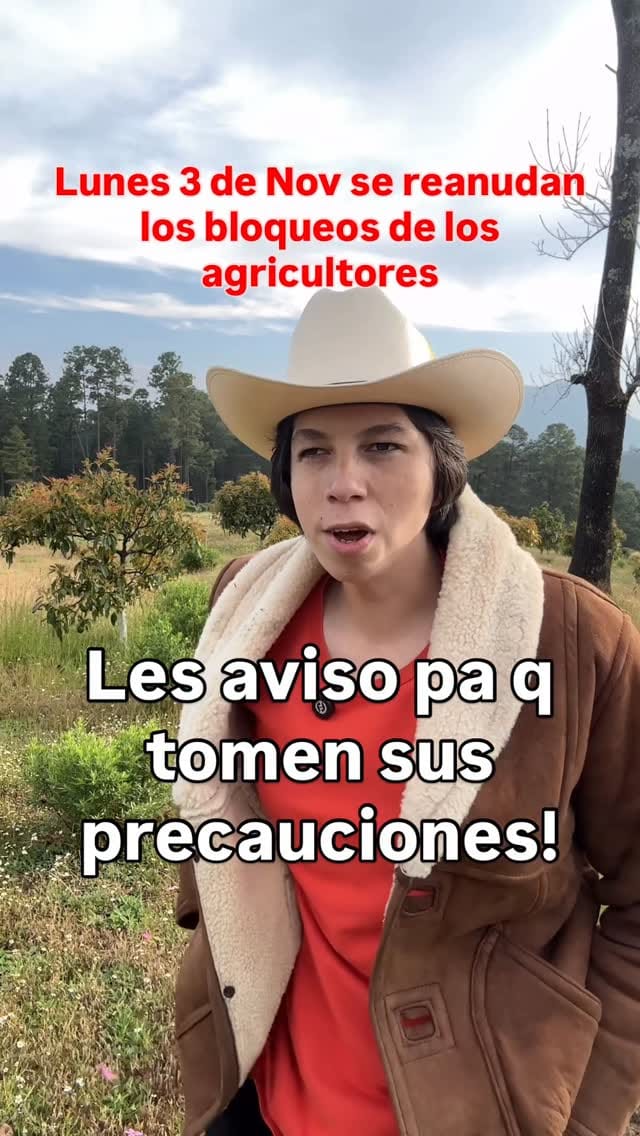 Post 8 by Mike el Patrón 🥑🫐 on Instagram (video)