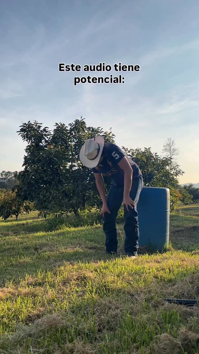 Post 10 by Mike el Patrón 🥑🫐 on Instagram (video)