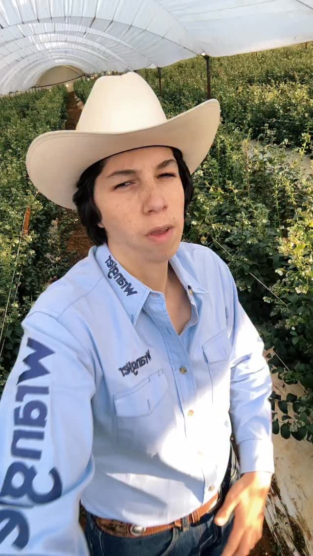 Post 9 by Mike el Patrón 🥑🫐 on Instagram (video)