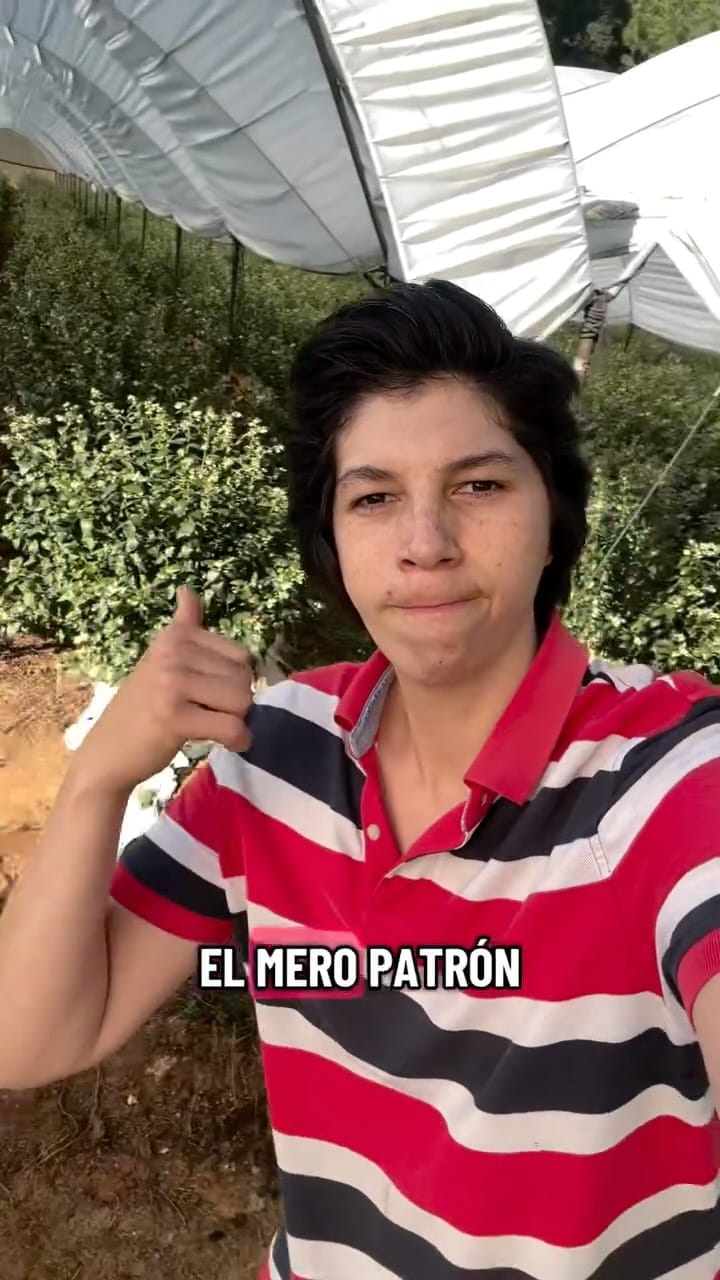 Post 6 by Mike el Patrón 🥑🫐 on Instagram (video)