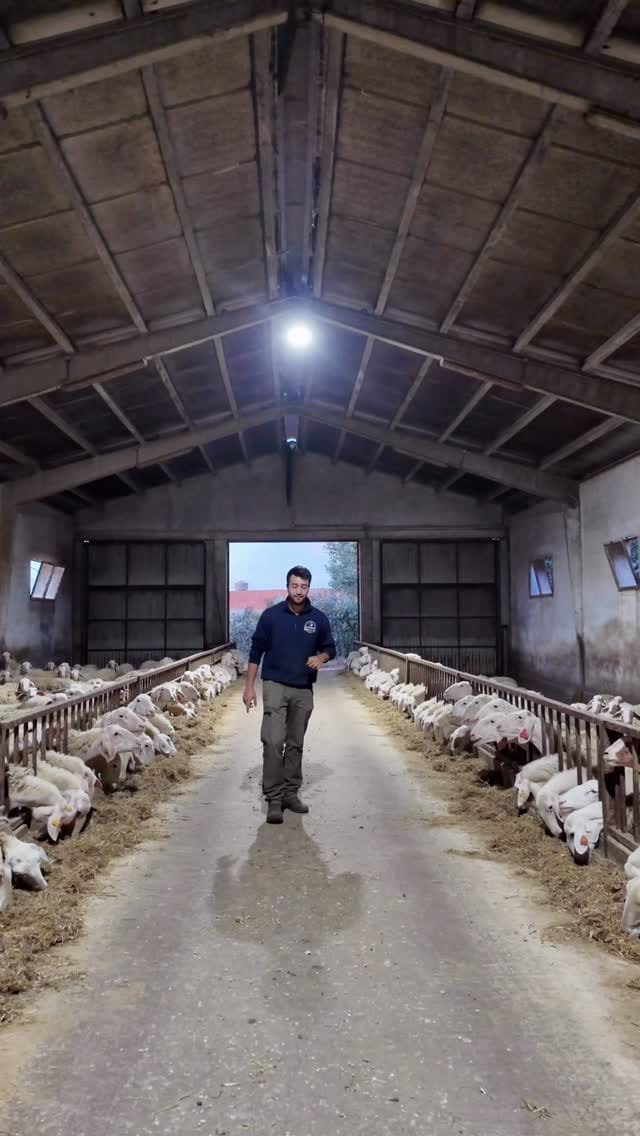 Post 5 by ⚡️JOSE RAMOS⚡️ on Instagram (video)