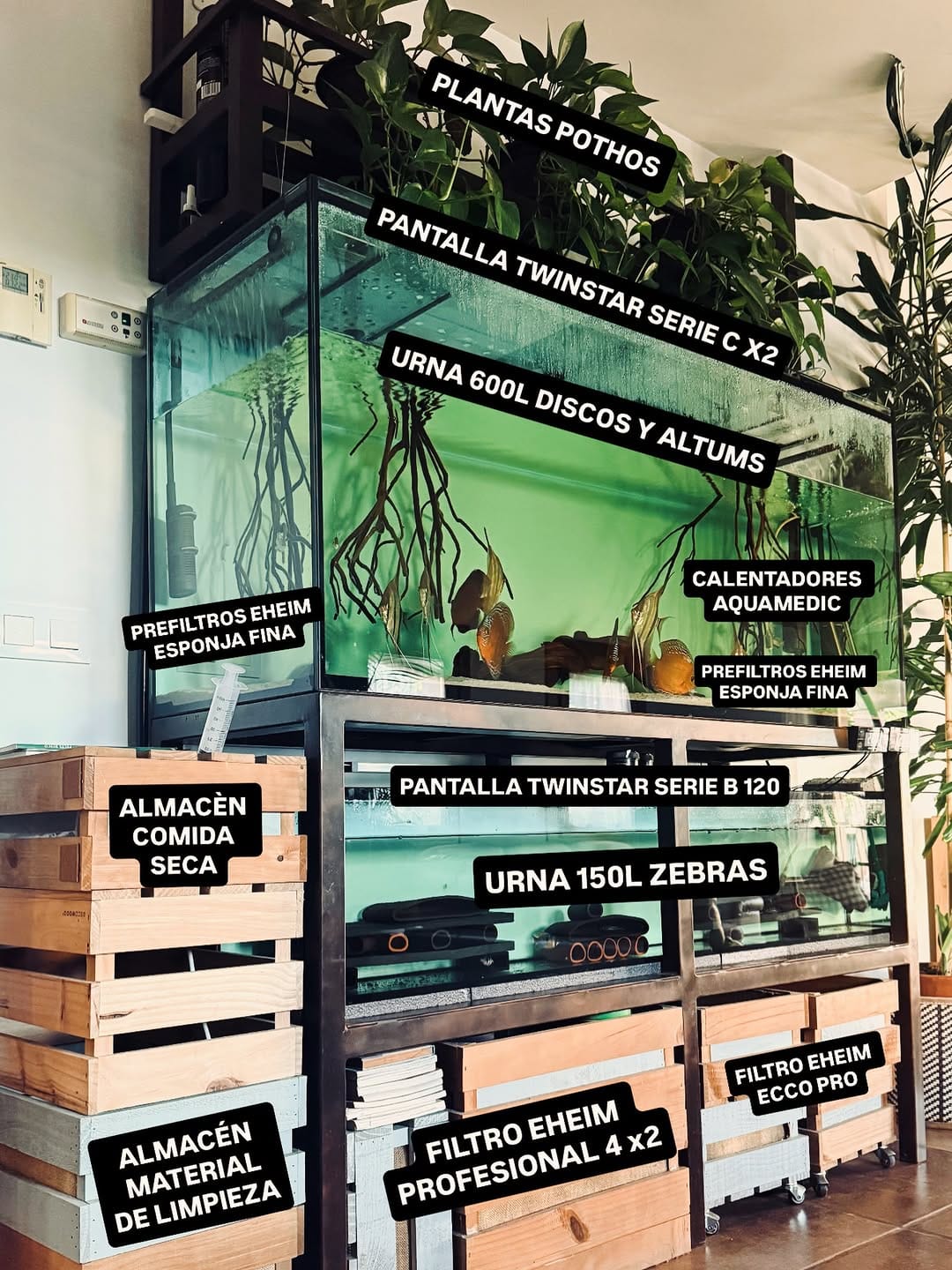 Post 7 by LA ACADEMIA DEL ACUARIO on Instagram (image)