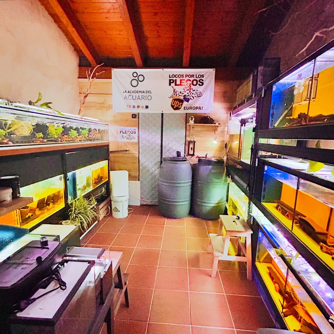 Post 9 by LA ACADEMIA DEL ACUARIO on Instagram (image)