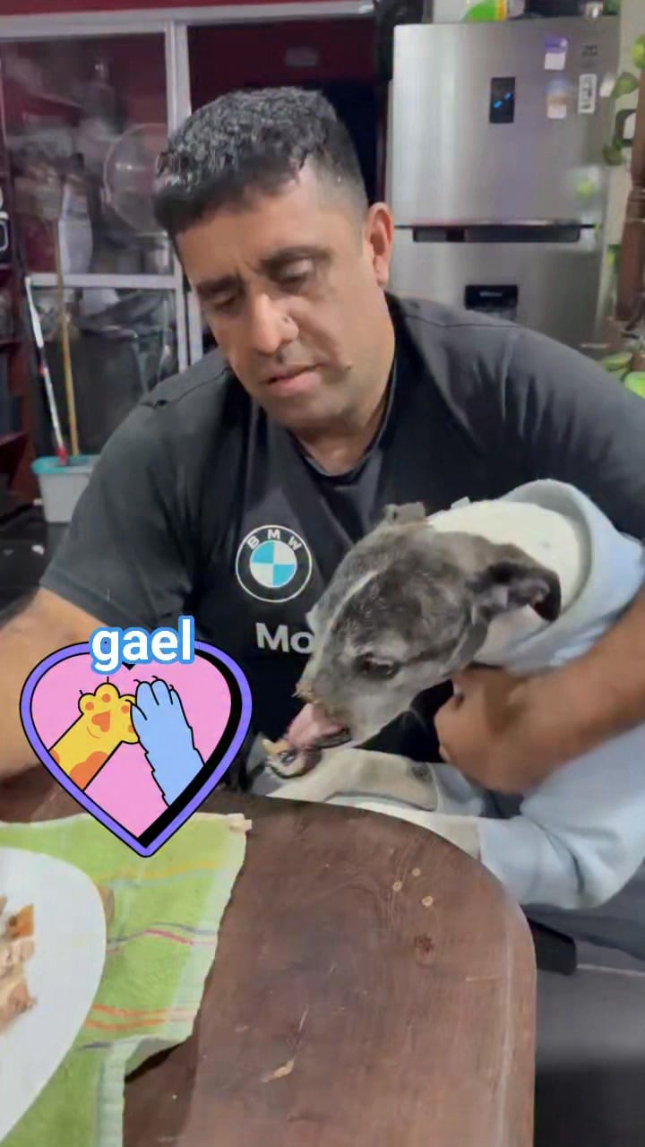 Post 10 by Ezequiel Kelo | Rescatista animal on Instagram (video)