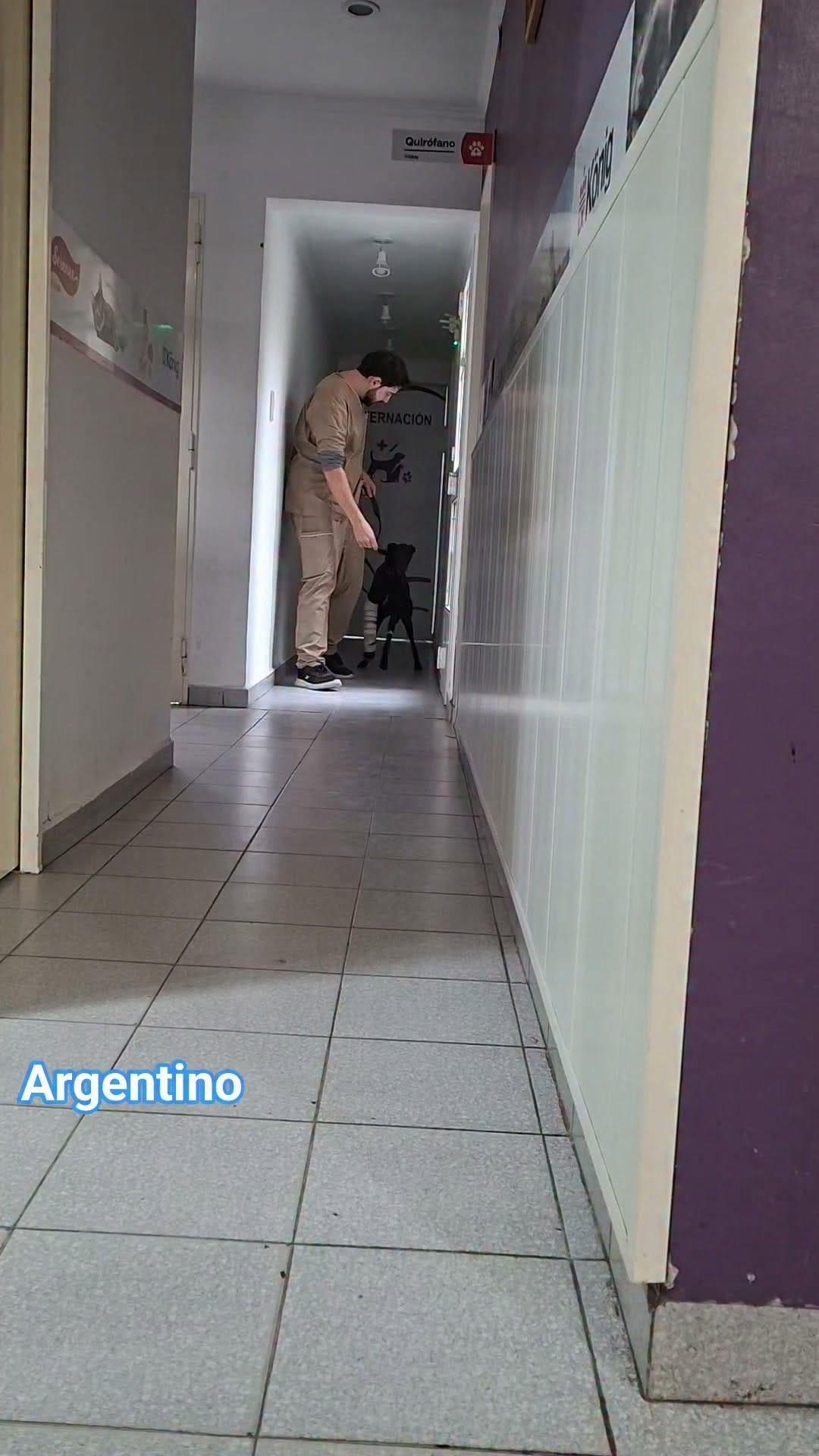 Post 2 by Ezequiel Kelo | Rescatista animal on Instagram (video)