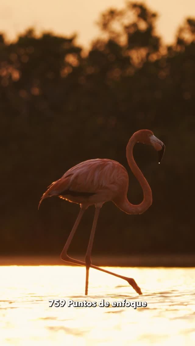 Post 8 by Miguel Diaz Perez on Instagram (video)