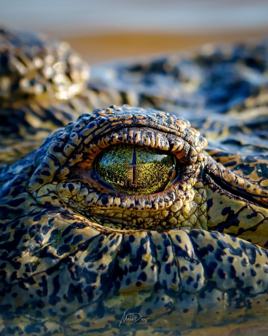 Post 10 by Miguel Diaz Perez on Instagram (image)