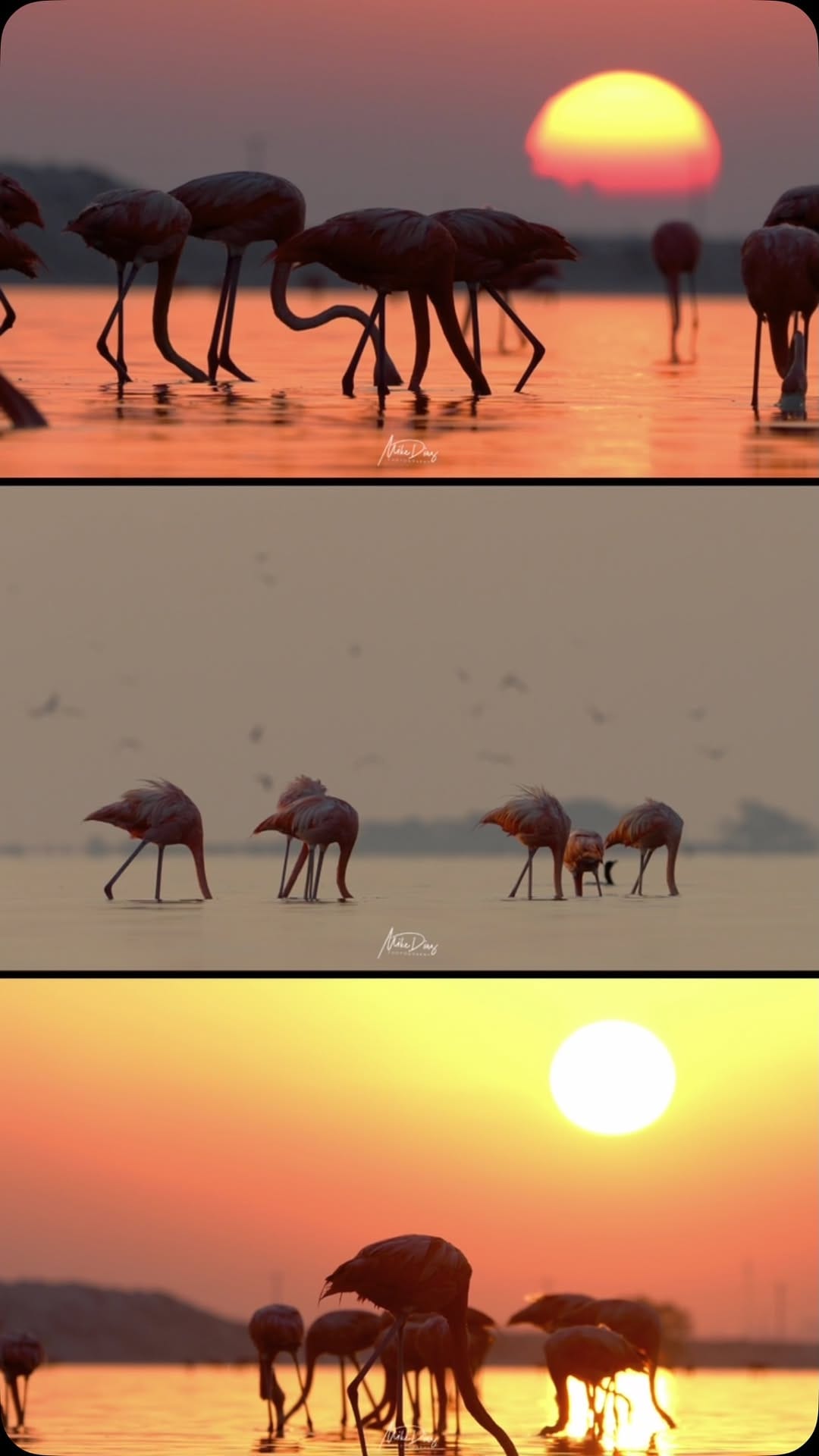 Post 9 by Miguel Diaz Perez on Instagram (video)
