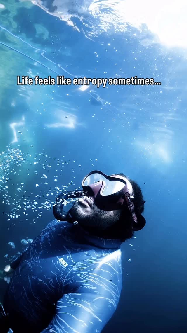 Post 3 by Malek | PRINTS+WHALE SHARKS EXPEDITION on Instagram (video)