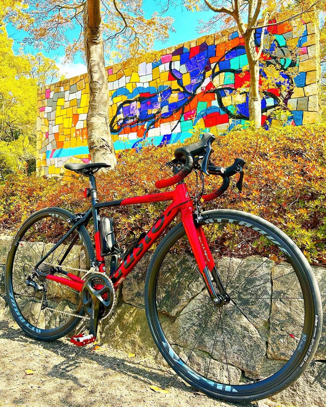 Post 9 by takachan🚴‍♂️cycling on Instagram (image)