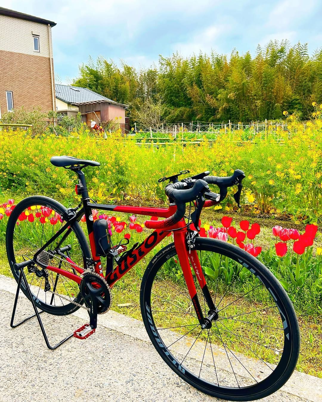 Post 7 by takachan🚴‍♂️cycling on Instagram (image)