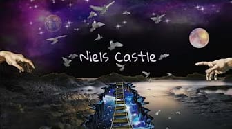 Post 3 by Niels Castle on YouTube (video)
