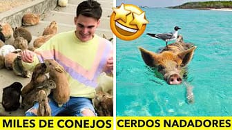 Post 7 by Detrás De Todo on YouTube (video)