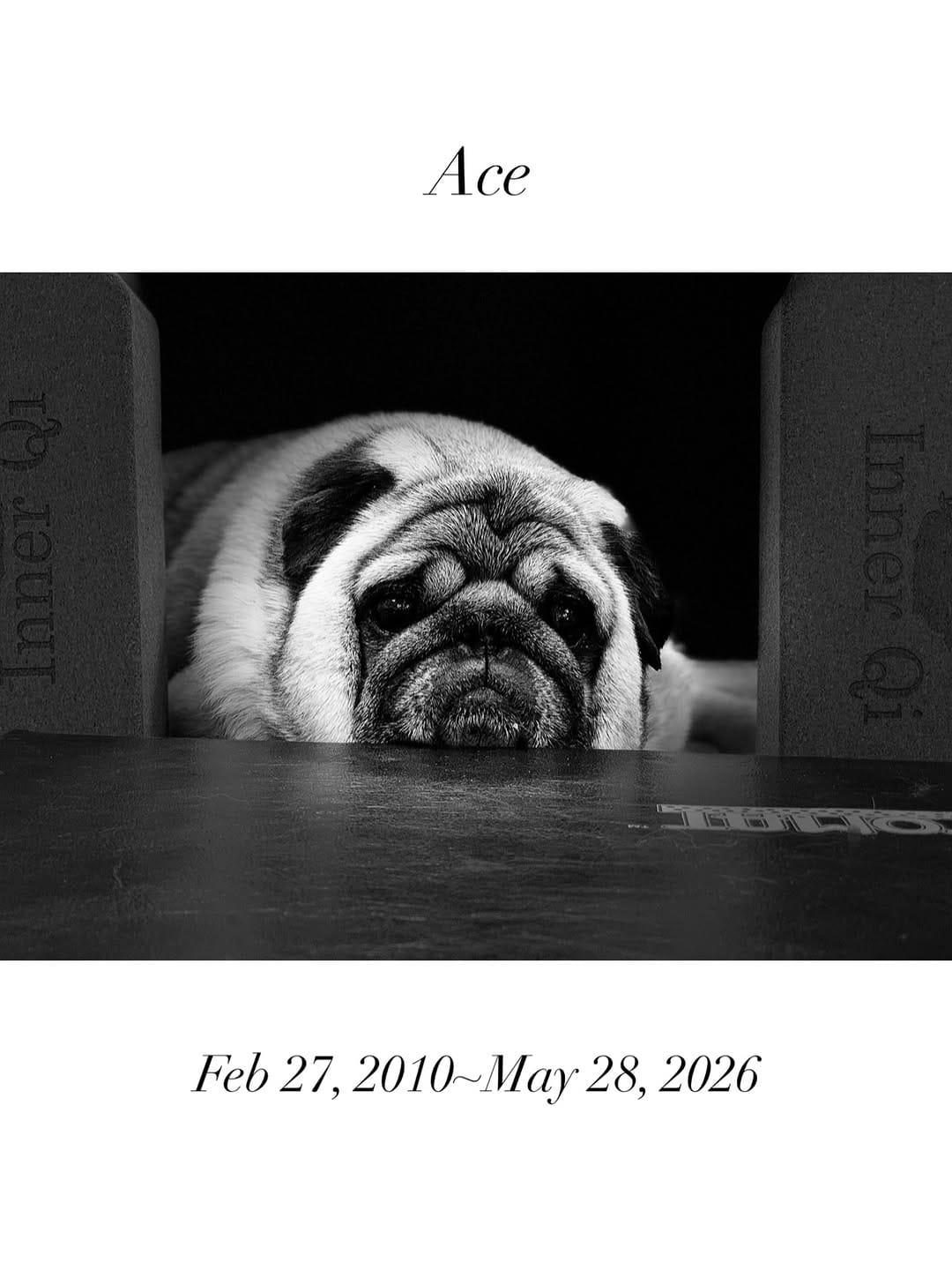 Post 7 by 𝐒𝐡𝐞𝐢𝐥𝐚 𝐉𝐞𝐭𝐭 on Instagram (carousel)