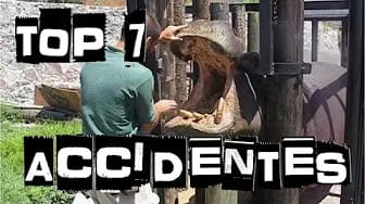 Post 4 by What the Top! on YouTube (video)