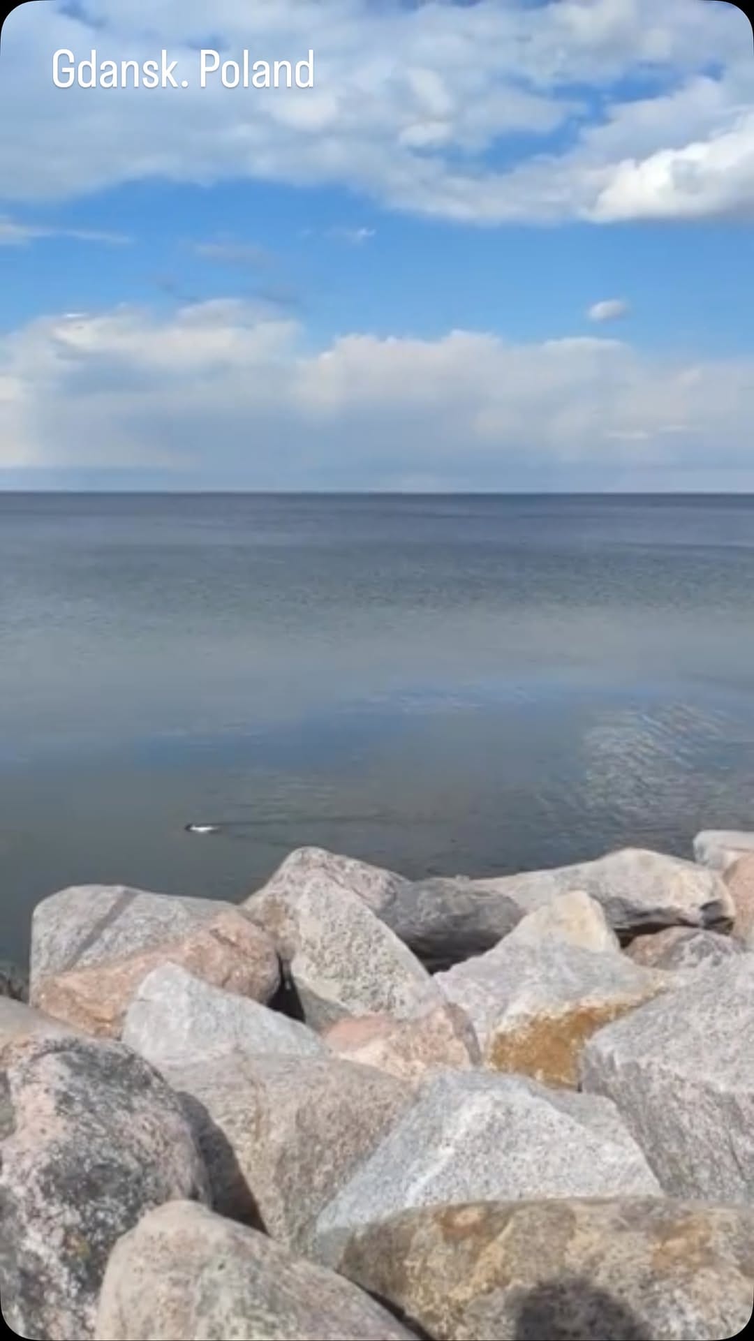Post 2 by Sergio Kas on Instagram (video)