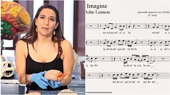 Post 5 by SINAPSIS: Connections between art and your brain on YouTube (video)