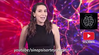 Post 2 by SINAPSIS: Connections between art and your brain on YouTube (video)