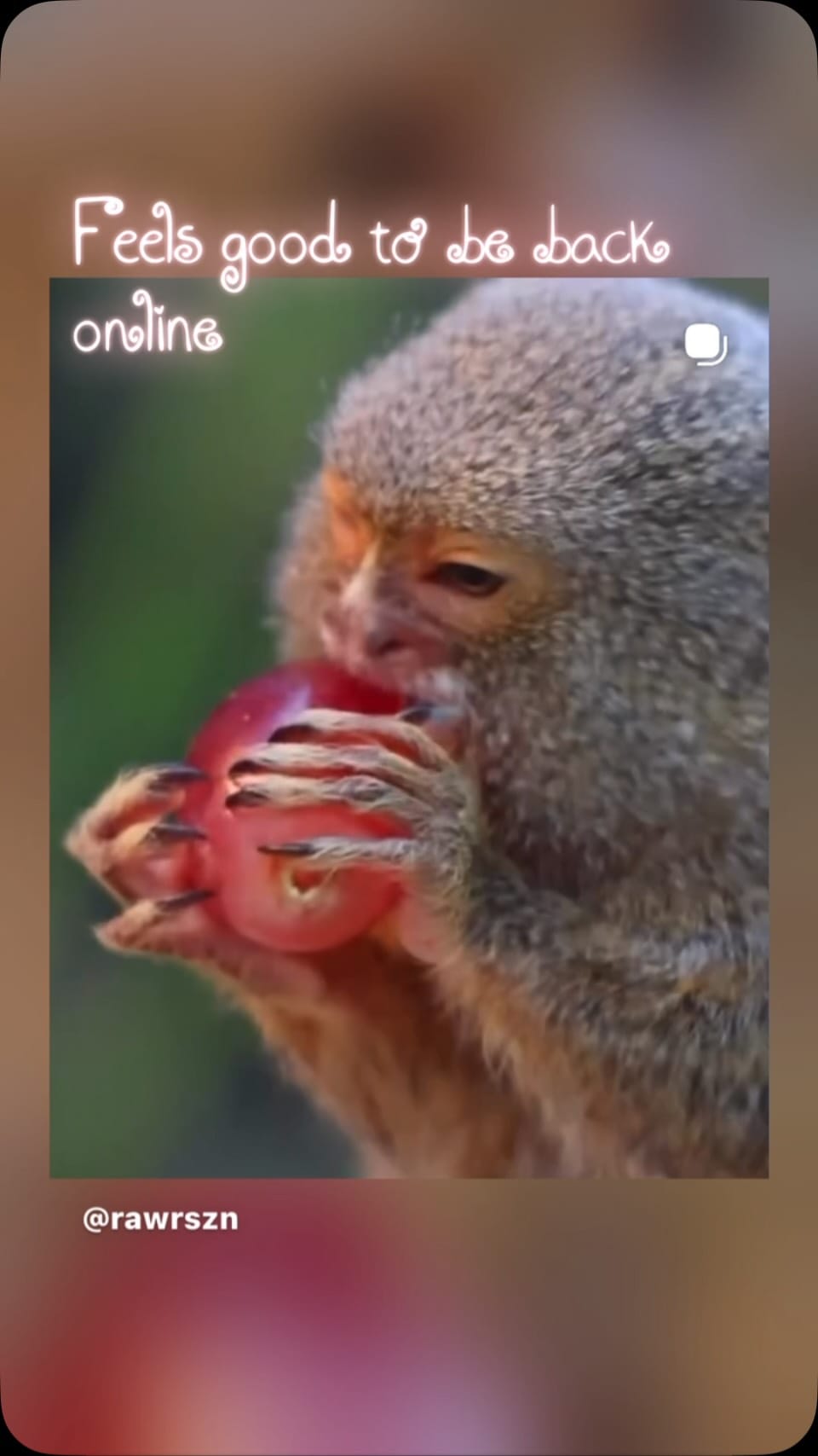 Post 1 by Alice Lucy Rekab on Instagram (video)