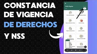 Post 4 by Inge Capacita on YouTube (video)