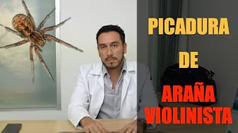 Post 5 by Médicos en Cuernavaca - Directorio Médico en Cuernavaca Morelos on YouTube (video)