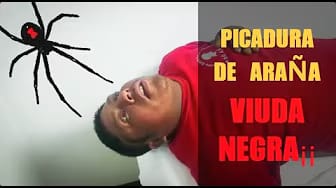 Post 1 by Médicos en Cuernavaca - Directorio Médico en Cuernavaca Morelos on YouTube (video)