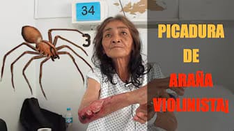 Post 4 by Médicos en Cuernavaca - Directorio Médico en Cuernavaca Morelos on YouTube (video)