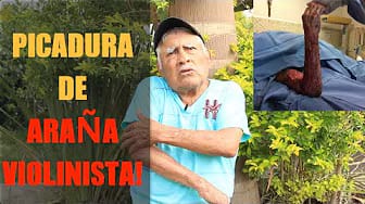 Post 3 by Médicos en Cuernavaca - Directorio Médico en Cuernavaca Morelos on YouTube (video)