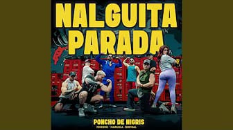 Post 5 by Poncho De Nigris on YouTube (video)