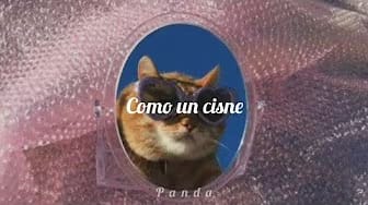 Post 7 by Sedna on YouTube (video)