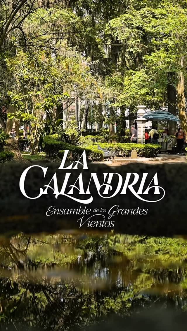 Post 2 by Alejandra Paniagua on Instagram (video)