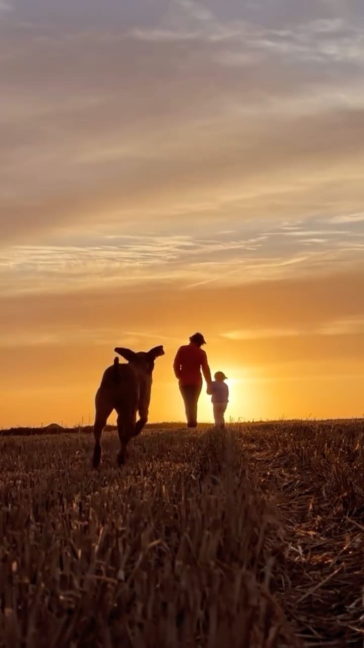 Post 7 by Jonathan Barnwell on Instagram (video)