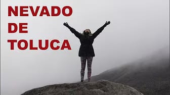 Post 6 by Universo de Paulina on YouTube (video)